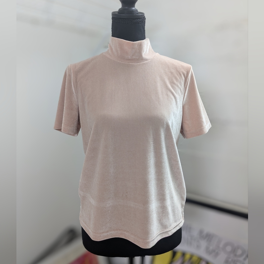 Madewell Velvet Mock Tee